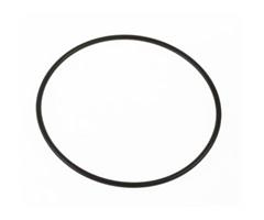 SP70-0039-10 E2S O-Ring-BEx-d-Chamber 10-pck Spare O-ring BEx-d-chamber &#248;123mm for BExS, BExCS, BExL, BExBG ...
